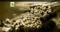 Desktop Screenshot of ecorayltd.com